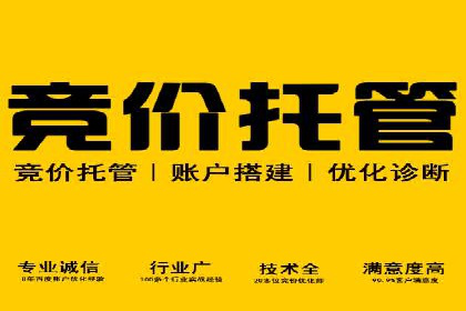 SEM网络推广案例：打造行业影响力品牌